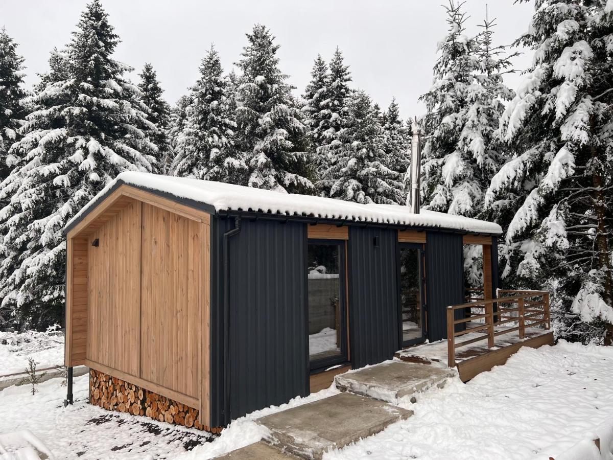 Парк-Готель Щастя Skhidnytsia Esterno foto