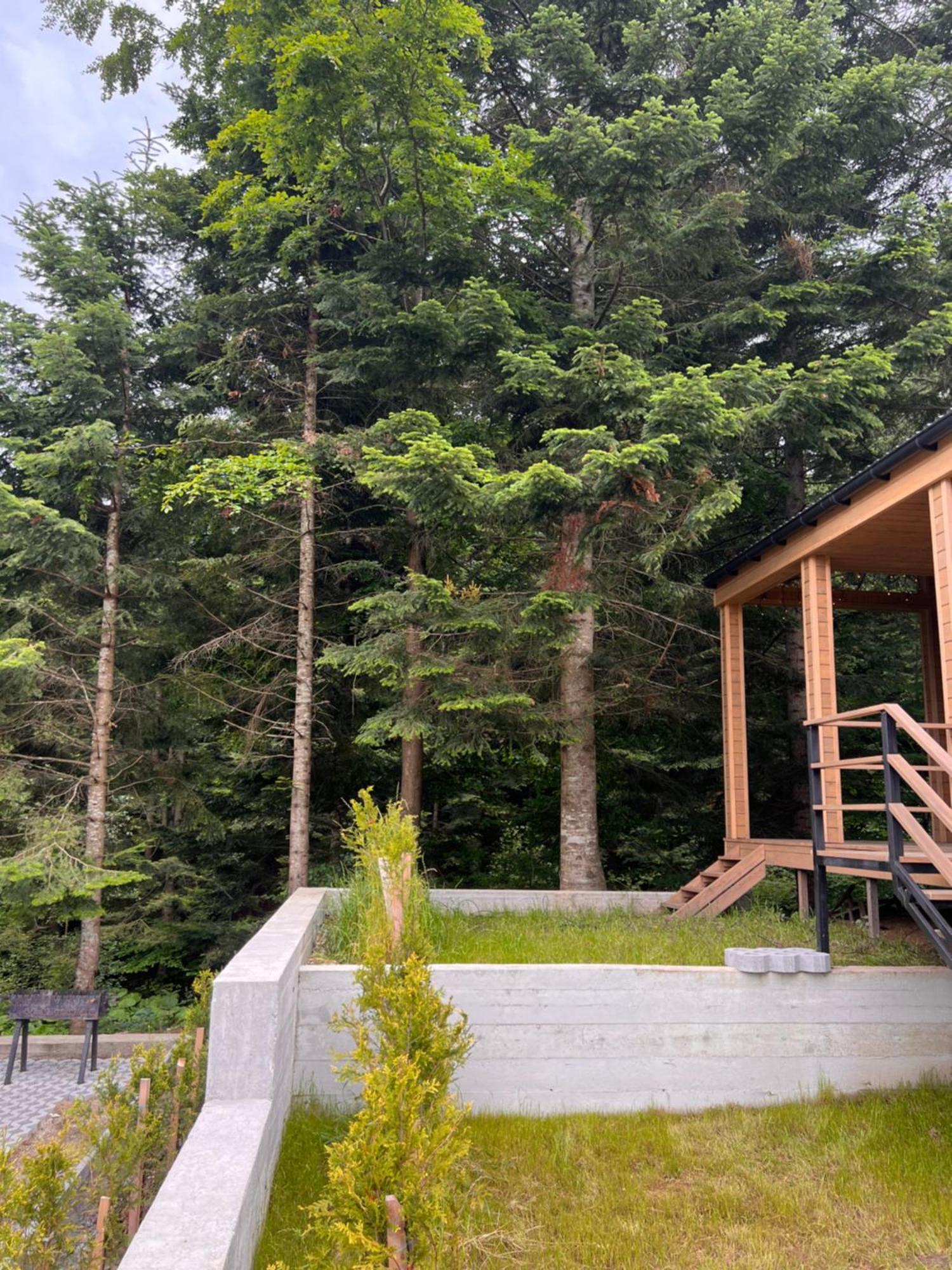 Парк-Готель Щастя Skhidnytsia Esterno foto